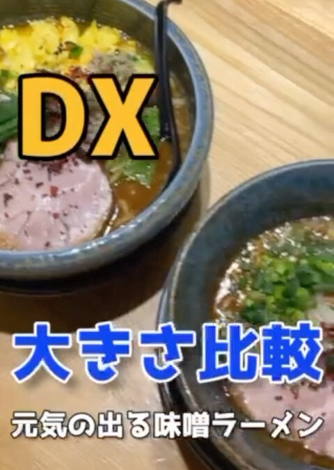 元気のでるみそラーメン大きさ比較