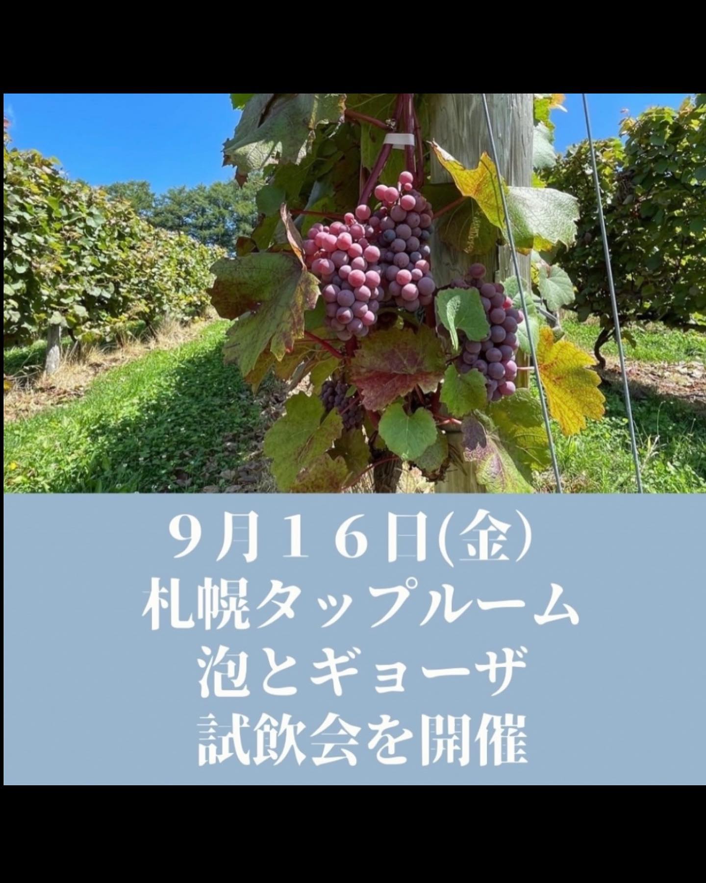 9/16日(金）OcciGabi wine試飲会
